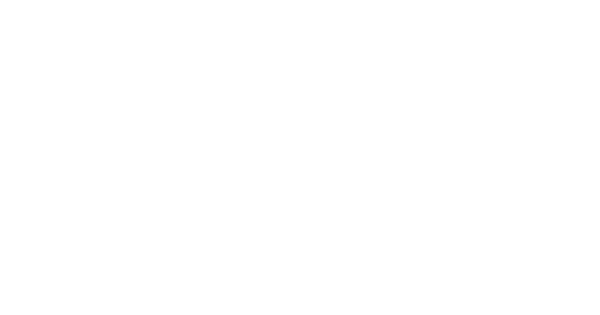 RAIN Software Technologies logo